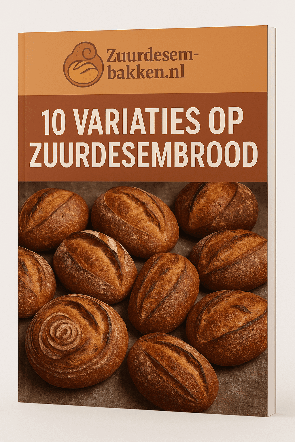 E-book: 10 variaties op zuurdesembrood